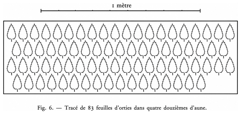 Tracé de 83 feuilles d’orties dans quatre douzièmes d’aune